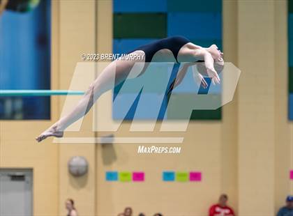 Thumbnail 1 in CHSAA 3A Girls Diving - State Championship photogallery.