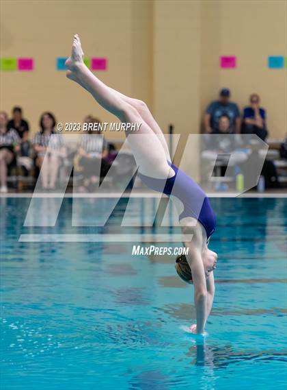 Thumbnail 1 in CHSAA 3A Girls Diving - State Championship photogallery.