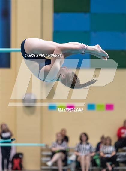 Thumbnail 2 in CHSAA 3A Girls Diving - State Championship photogallery.
