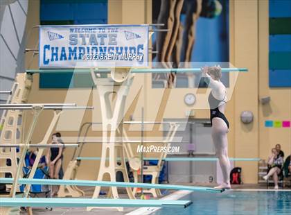 Thumbnail 1 in CHSAA 3A Girls Diving - State Championship photogallery.