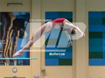 Thumbnail 3 in CHSAA 3A Girls Diving - State Championship photogallery.