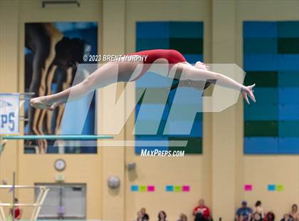 Thumbnail 1 in CHSAA 3A Girls Diving - State Championship photogallery.