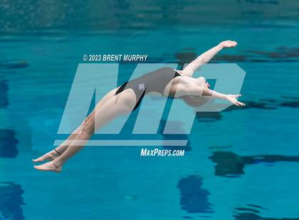 Thumbnail 3 in CHSAA 3A Girls Diving - State Championship photogallery.