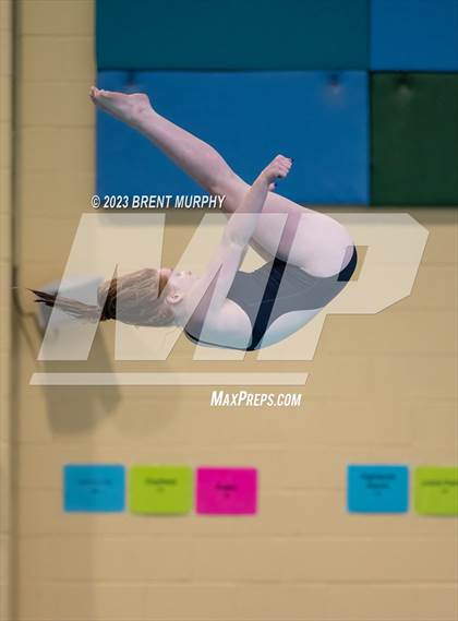 Thumbnail 1 in CHSAA 3A Girls Diving - State Championship photogallery.