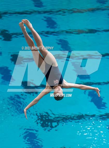 Thumbnail 2 in CHSAA 3A Girls Diving - State Championship photogallery.