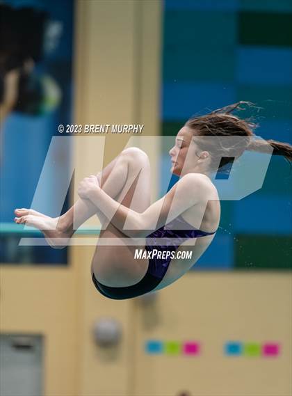 Thumbnail 1 in CHSAA 3A Girls Diving - State Championship photogallery.