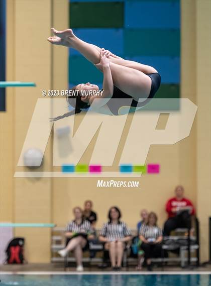 Thumbnail 2 in CHSAA 3A Girls Diving - State Championship photogallery.