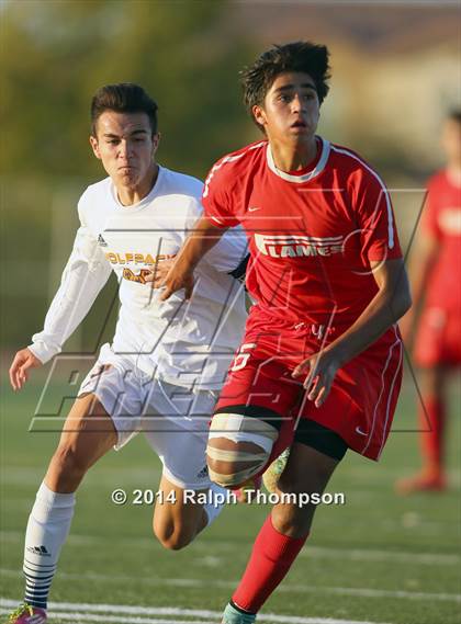 Thumbnail 1 in Lodi @ Cosumnes Oaks (CIF SJS D-2 Quarterfinal) photogallery.