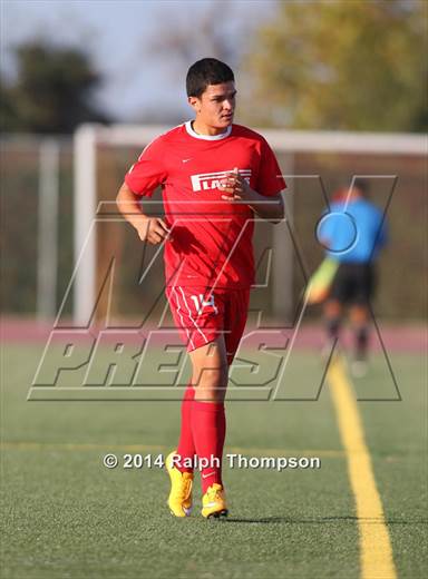 null - Photo 31