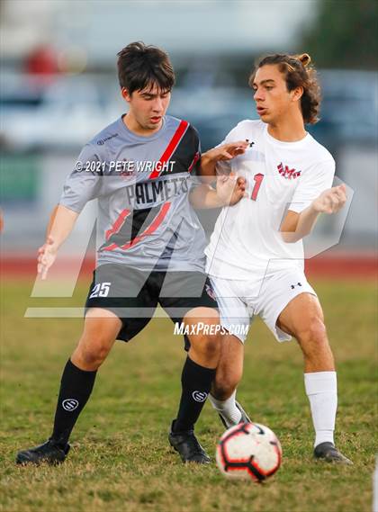 Thumbnail 2 in Manatee @ Palmetto photogallery.