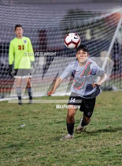 Thumbnail 1 in Manatee @ Palmetto photogallery.