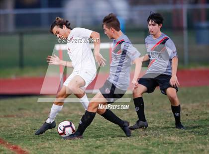 Thumbnail 2 in Manatee @ Palmetto photogallery.