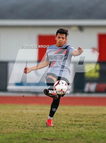 Thumbnail 3 in Manatee @ Palmetto photogallery.