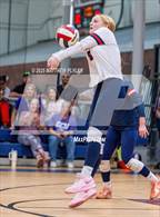 Photo from the gallery "Cape Fear Christian Academy @ Freedom Christian Academy"