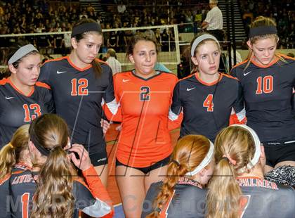 Thumbnail 3 in Lewis-Palmer vs. Air Academy (CHSAA 4A Final) photogallery.
