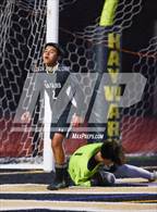 Photo from the gallery "Bishop O'Dowd @ Hayward"