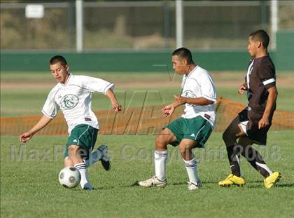 Thumbnail 1 in Sheldon @ Monterey Trail photogallery.