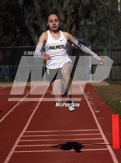Thumbnail 2 in Altitude Running Invite (Field Events) photogallery.