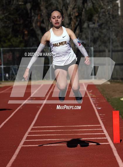 Thumbnail 3 in Altitude Running Invite (Field Events) photogallery.