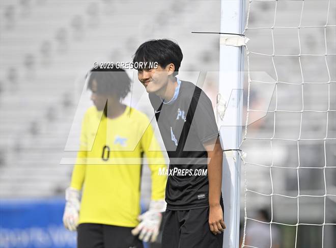null - Photo 01