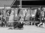 Photo from the gallery "Pekin @ Limestone"