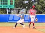 Photo from the gallery "Strawberry Crest @ Sumner"