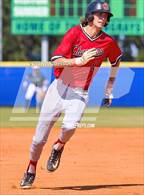 Photo from the gallery "Strawberry Crest @ Sumner"