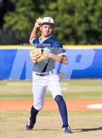 Photo from the gallery "Strawberry Crest @ Sumner"