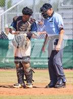 Photo from the gallery "Strawberry Crest @ Sumner"