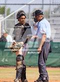 Photo from the gallery "Strawberry Crest @ Sumner"