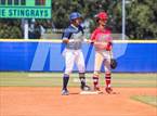 Photo from the gallery "Strawberry Crest @ Sumner"