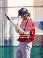 Photo from the gallery "Strawberry Crest @ Sumner"