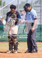 Photo from the gallery "Strawberry Crest @ Sumner"