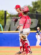 Photo from the gallery "Strawberry Crest @ Sumner"