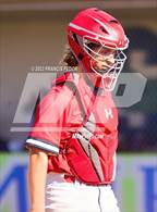 Photo from the gallery "Strawberry Crest @ Sumner"