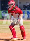 Photo from the gallery "Strawberry Crest @ Sumner"