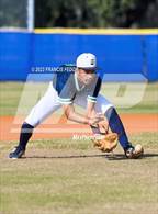 Photo from the gallery "Strawberry Crest @ Sumner"