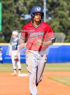 Photo from the gallery "Strawberry Crest @ Sumner"