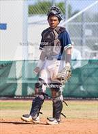 Photo from the gallery "Strawberry Crest @ Sumner"