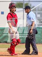 Photo from the gallery "Strawberry Crest @ Sumner"