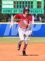 Photo from the gallery "Strawberry Crest @ Sumner"