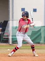 Photo from the gallery "Strawberry Crest @ Sumner"