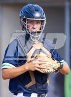 Photo from the gallery "Strawberry Crest @ Sumner"