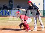 Photo from the gallery "Strawberry Crest @ Sumner"