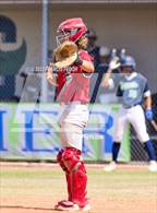 Photo from the gallery "Strawberry Crest @ Sumner"