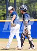 Photo from the gallery "Strawberry Crest @ Sumner"