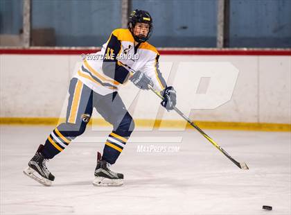 Thumbnail 2 in Winchester @ Andover (Hingham Showcase) photogallery.