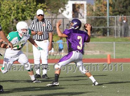 Thumbnail 1 in St. Joseph @ Righetti photogallery.