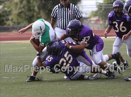 Thumbnail 1 in St. Joseph @ Righetti photogallery.