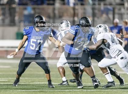 Thumbnail 3 in Martin @ Hebron photogallery.